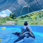 [슬기로운 여름나기] 핫플 안 부럽다 ‘시골파크’ 대개장 이미지