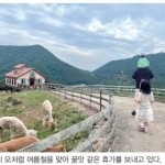 [광주전남기자협회 혁신위 기획] 열심히 일한 당신, 휴가는 안녕하신가요 이미지