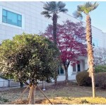 벌써 일 년 이미지