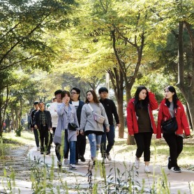 2017 가을 가족걷기 대회 이미지