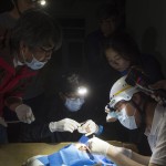 광주·전남 보도사진전 이미지