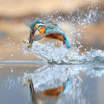 광주전남사진기자회 보도사진전 최우수상-전남매일 김태규 부장 이미지