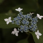 쉴 틈 없이 뛴 기자들, 힐링이 필요하다 이미지